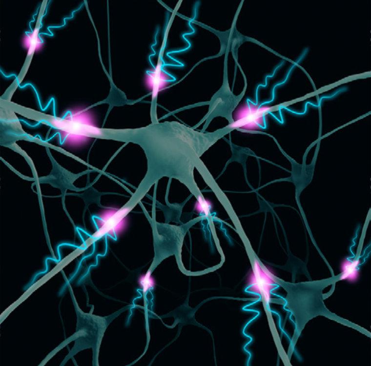 Neuronas durante una crisis epiléptica