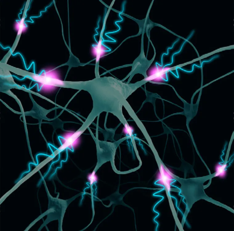 crisis epileptica m1 l2b 2 • Explorando la Epilepsia